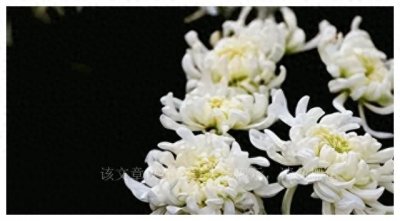 “享年”和“终年”都是表达去世，区别却很大，用错了会见笑于人